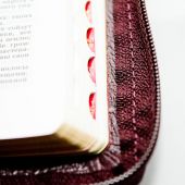 Библия каноническая 047 ZТI (вишневая, кожаный переплет, золотой обрез, краевые указатели, молния)